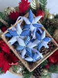 Load image into Gallery viewer, Icy Blue Dot Superstar Ornament
